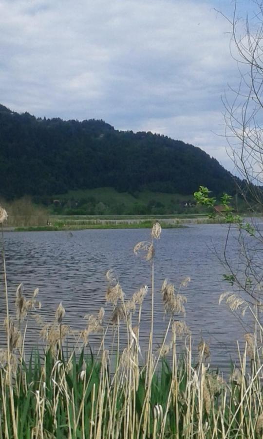 Ferienhaus Am-moore Steindorf am Ossiacher See Exterior foto