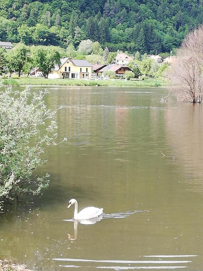 Ferienhaus Am-moore Steindorf am Ossiacher See Exterior foto